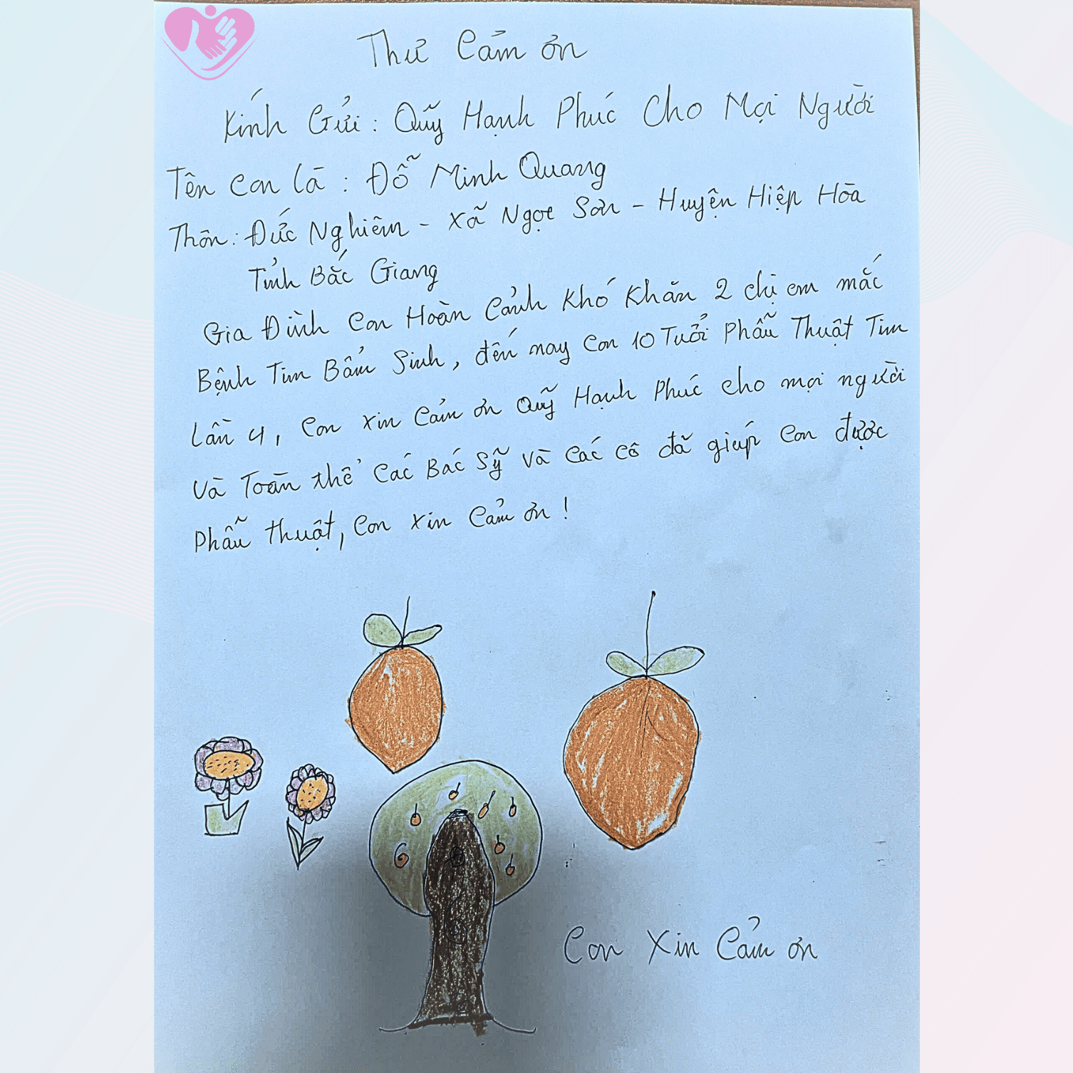 531-sau-2.png