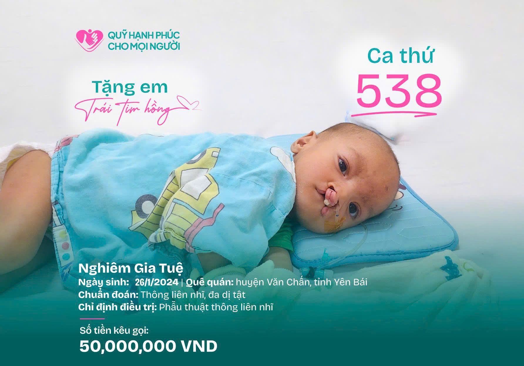 TẶNG EM TRÁI ❤️ HỒNG SỐ 538!