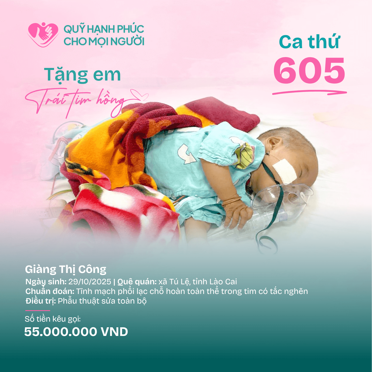 TẶNG EM TRÁI ❤️HỒNG SỐ 605!